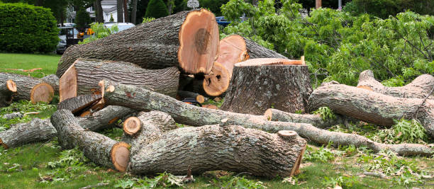 Best Stump Grinding and Removal  in Brookside, NJ